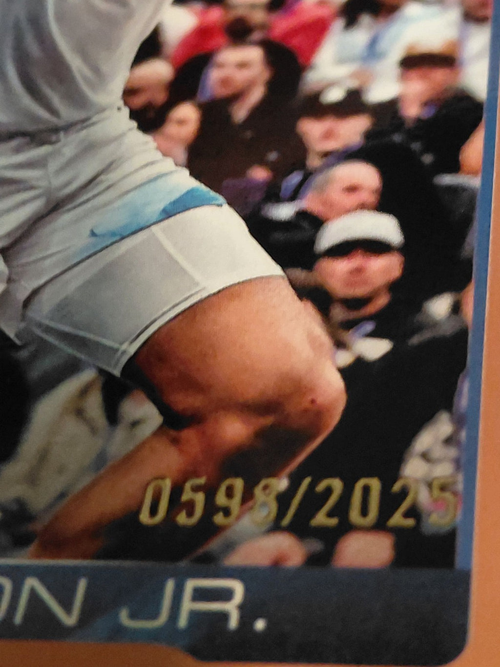 2025-26 Topps Terrence Shannon Jr. Timberwolves Card 113 Serial # 0598/2025